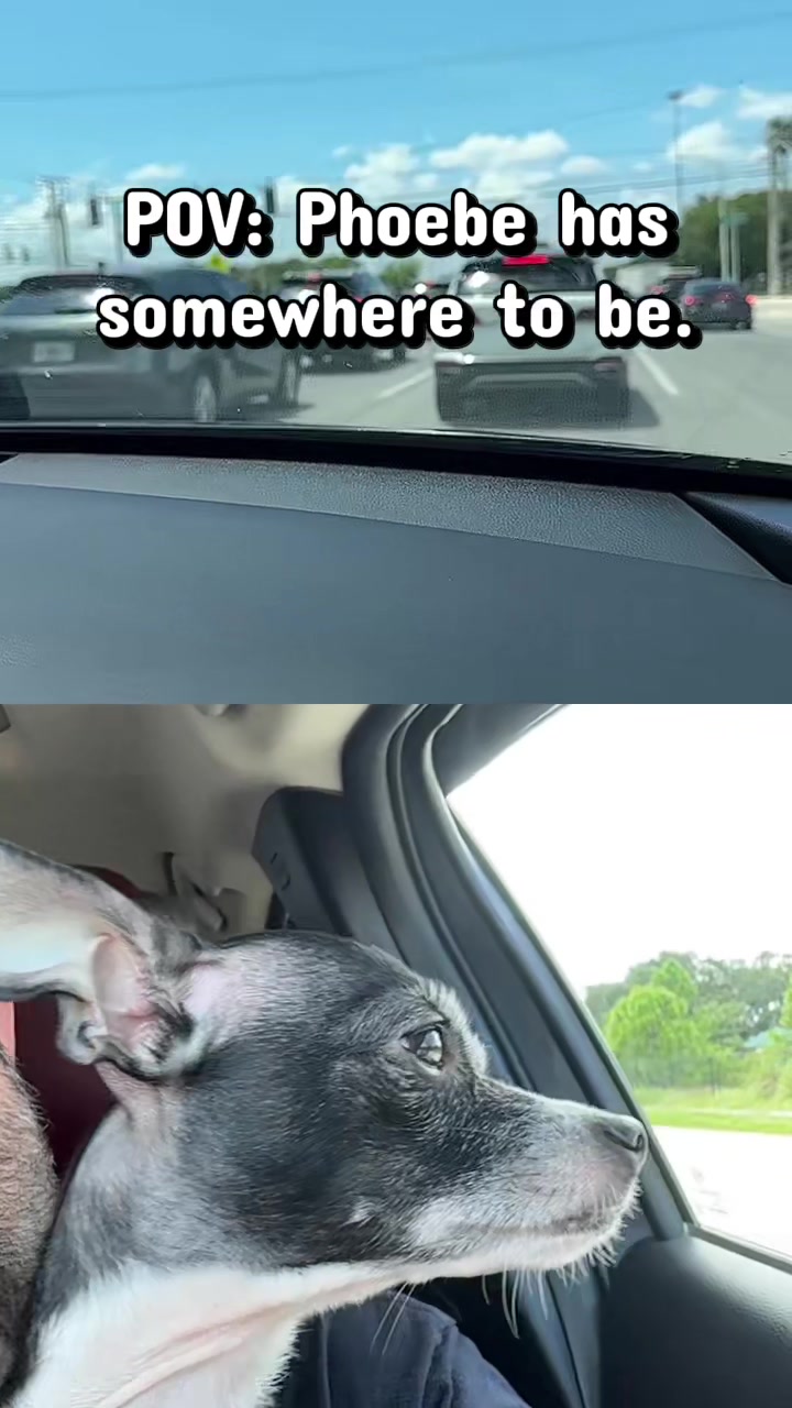 @TheVideoNook
