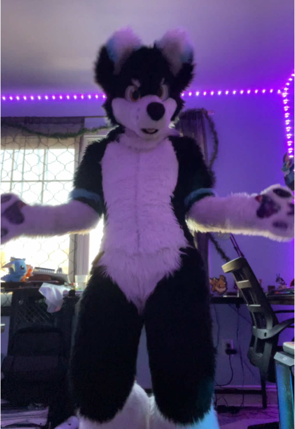 @⭐️KiwiFurSure⭐️