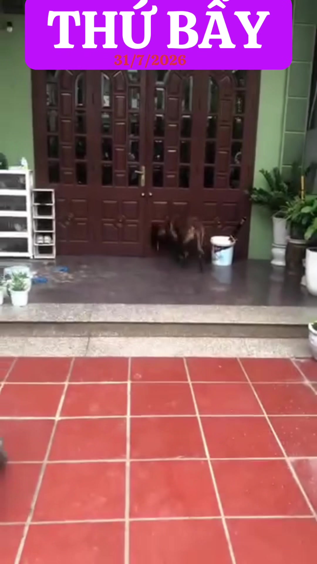 @Phạm Văn Thảo