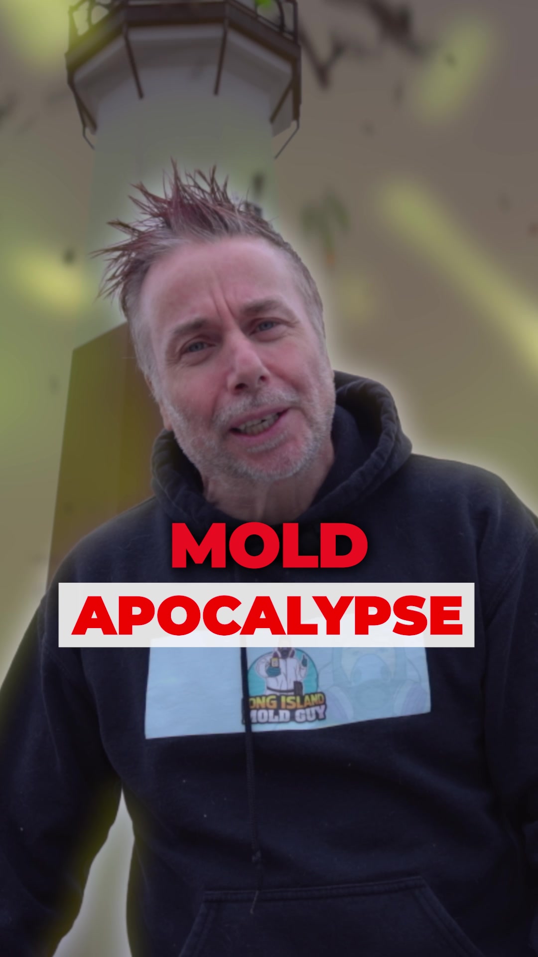 @Long Island Mold Guy