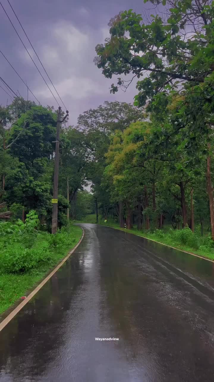 @Sidharth _Reddy _New York