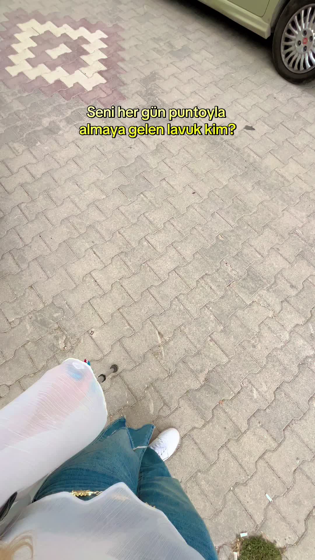 @meltemcekin22