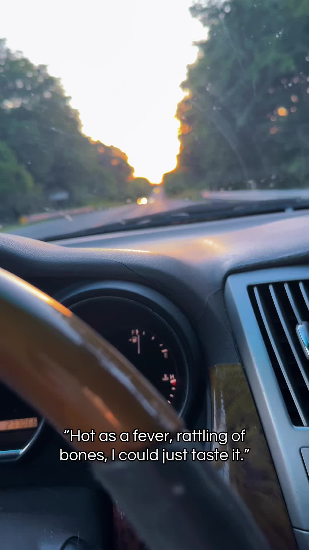 @Danigurl🦮🏇🌅🏳️&zwj;🌈