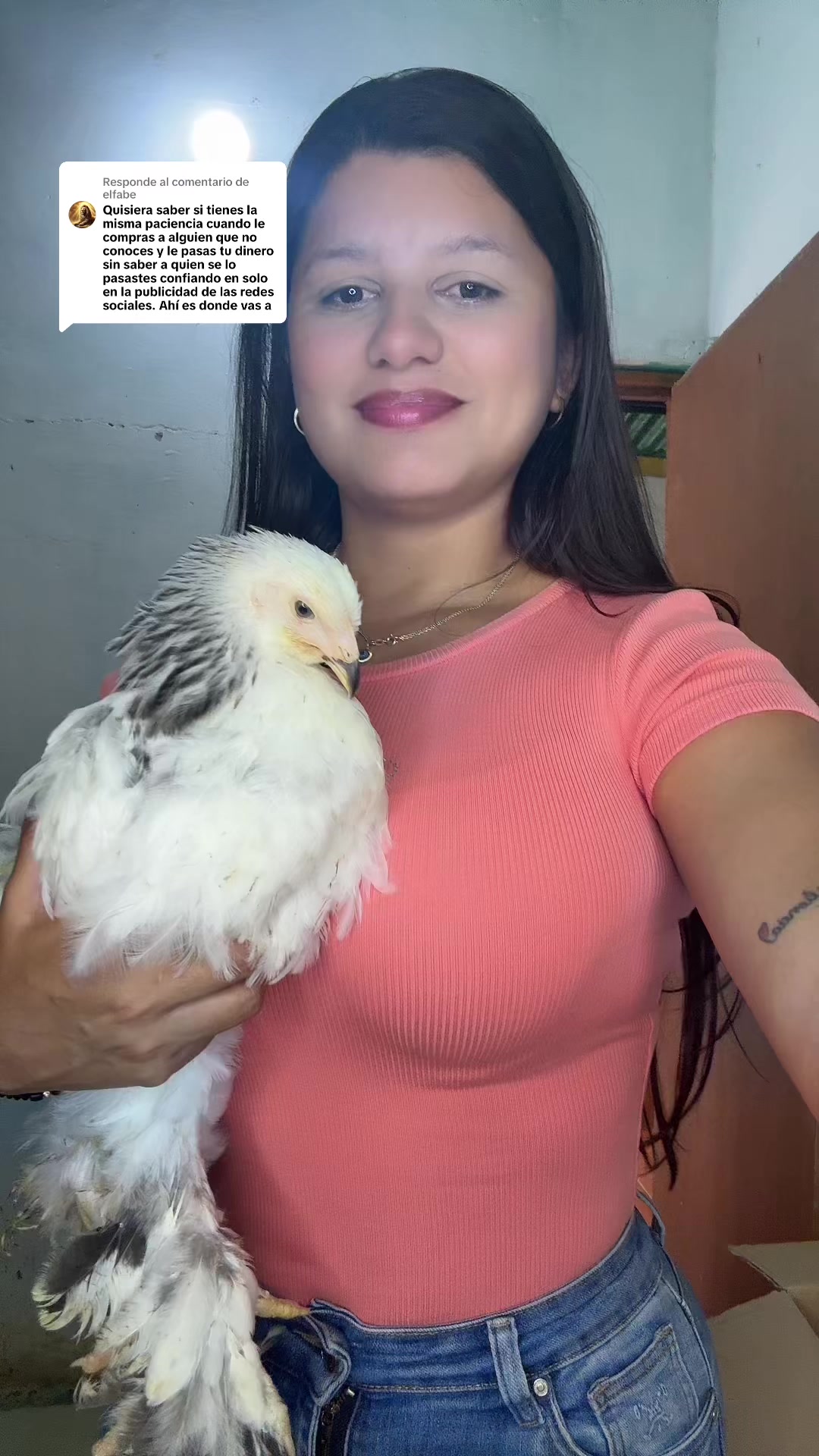 @Granjamascotalandiayaracuy
