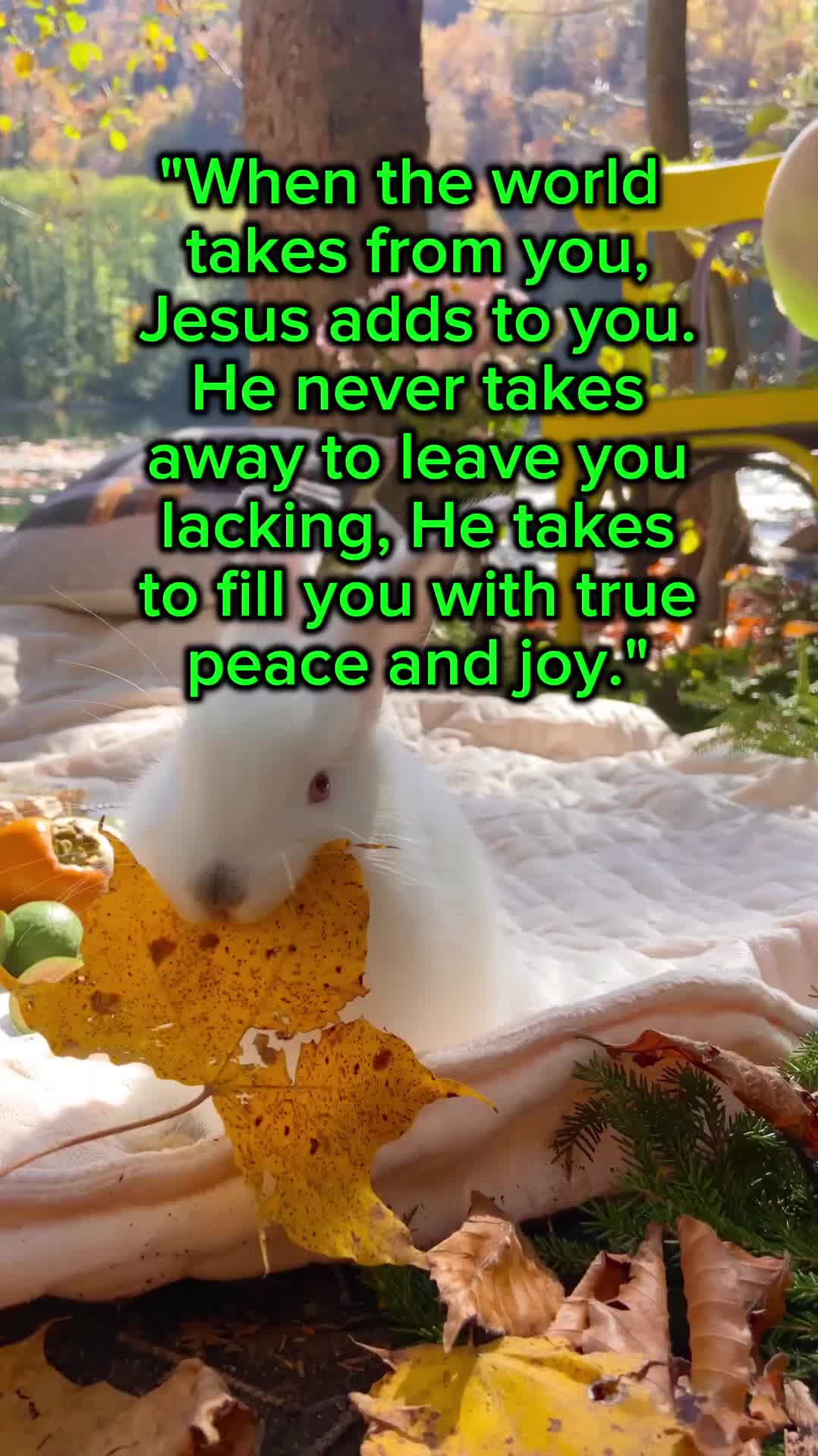 @@NovaTemplates