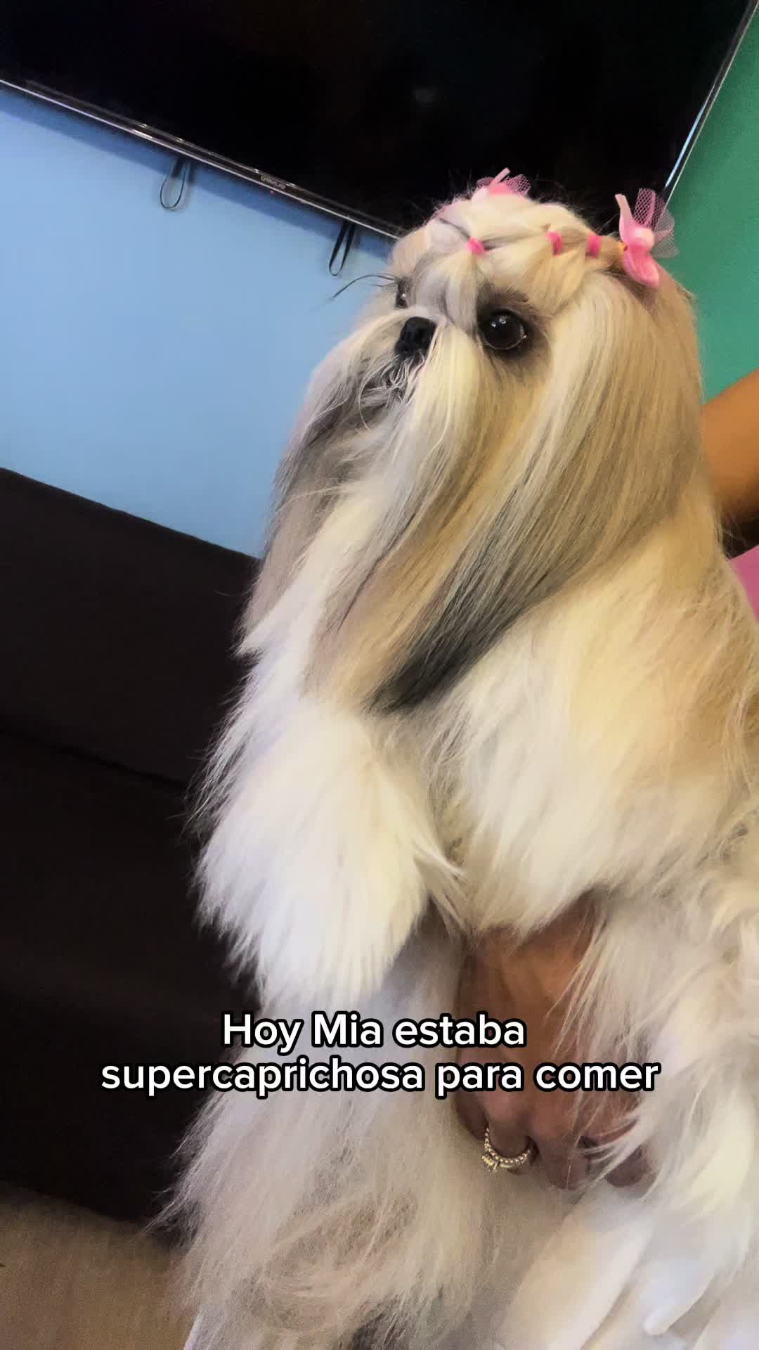 @Daniela Ospina