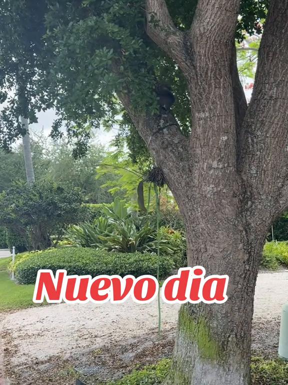 @Yordanka Fonseca