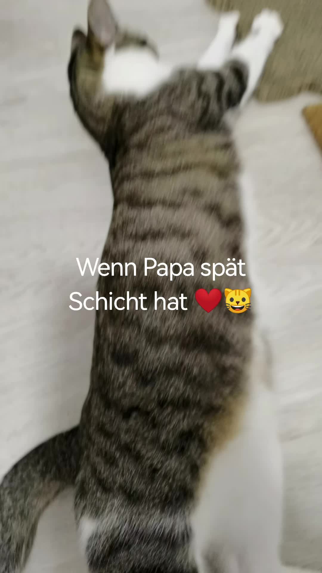 @juli🇩🇪🇺🇸🇷🇺