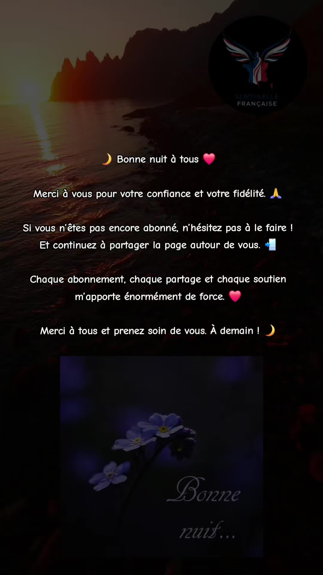@Sentinelle Française
