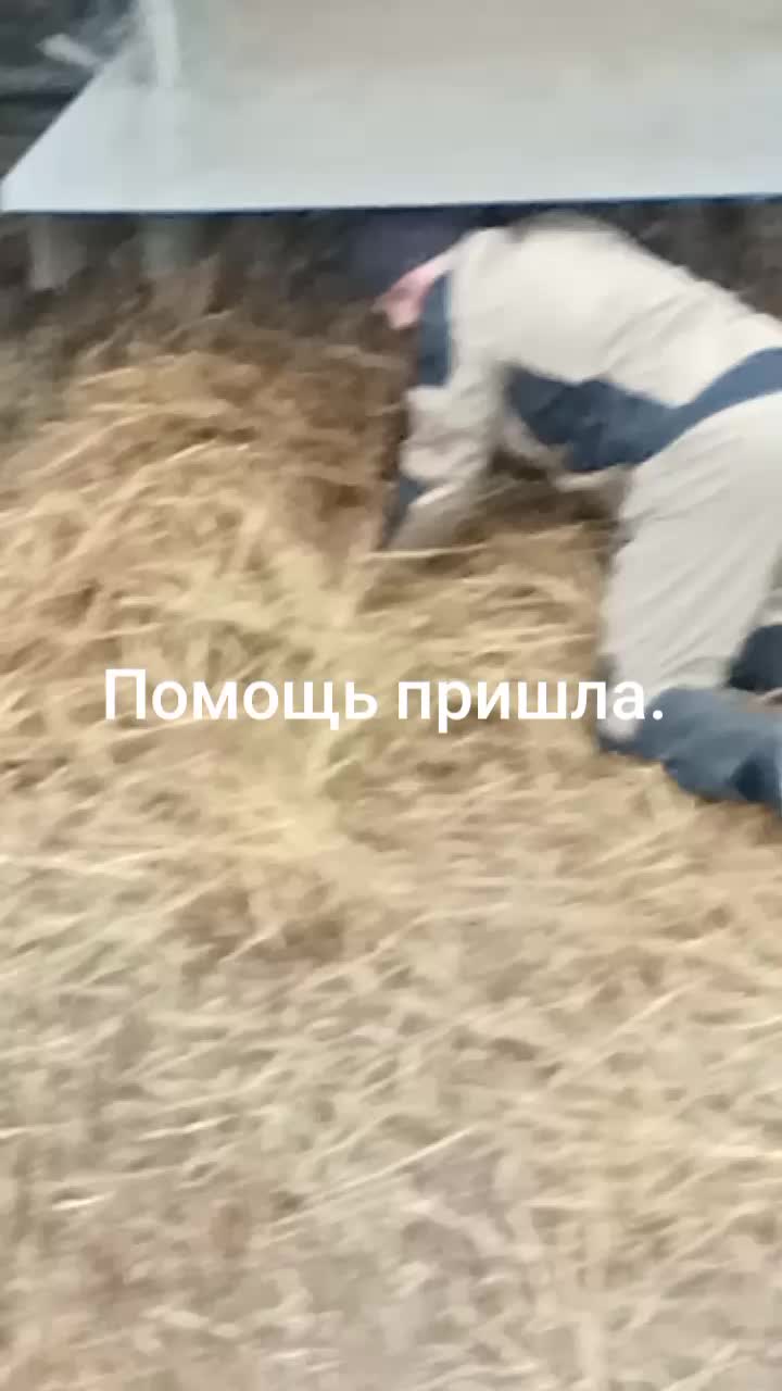 @EvgenKarmanov