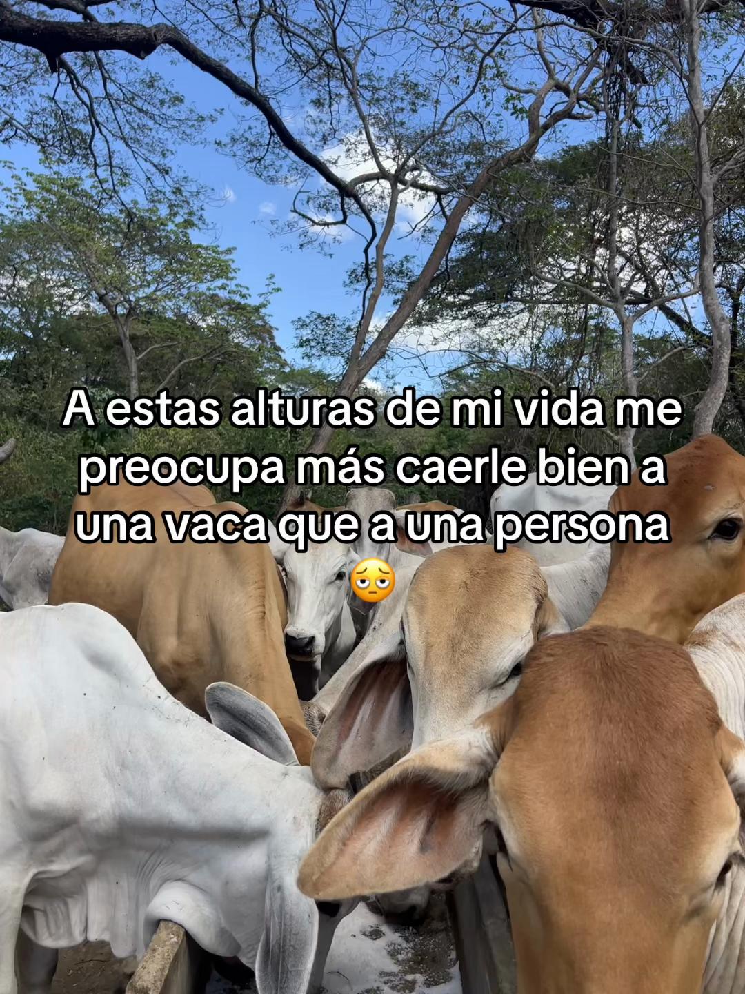 @Liss! 🤠