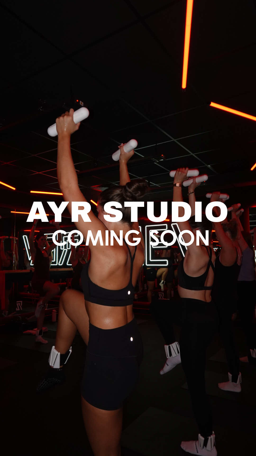 @Revolution Studios