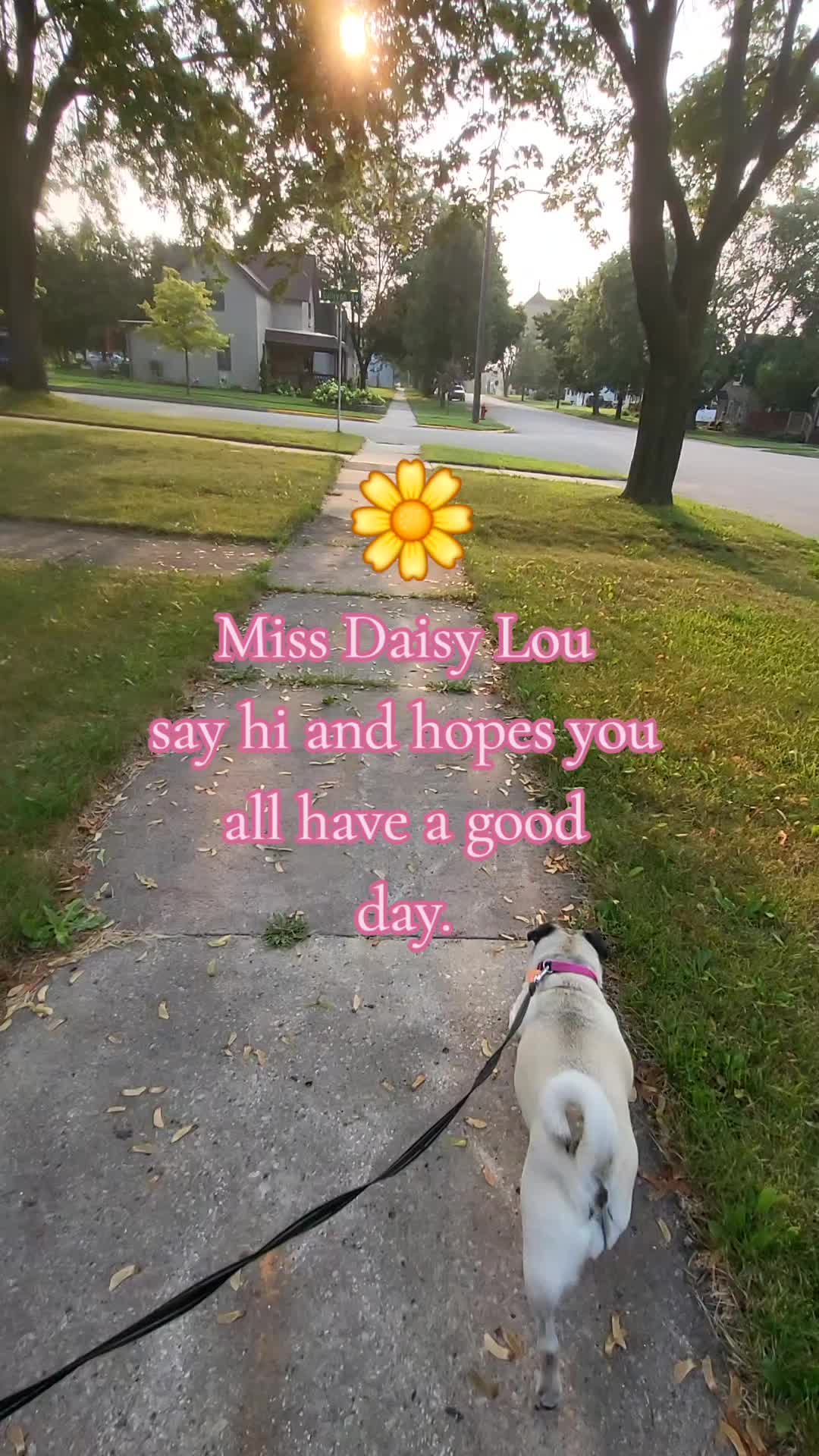 @💚kellymarie💚117💚