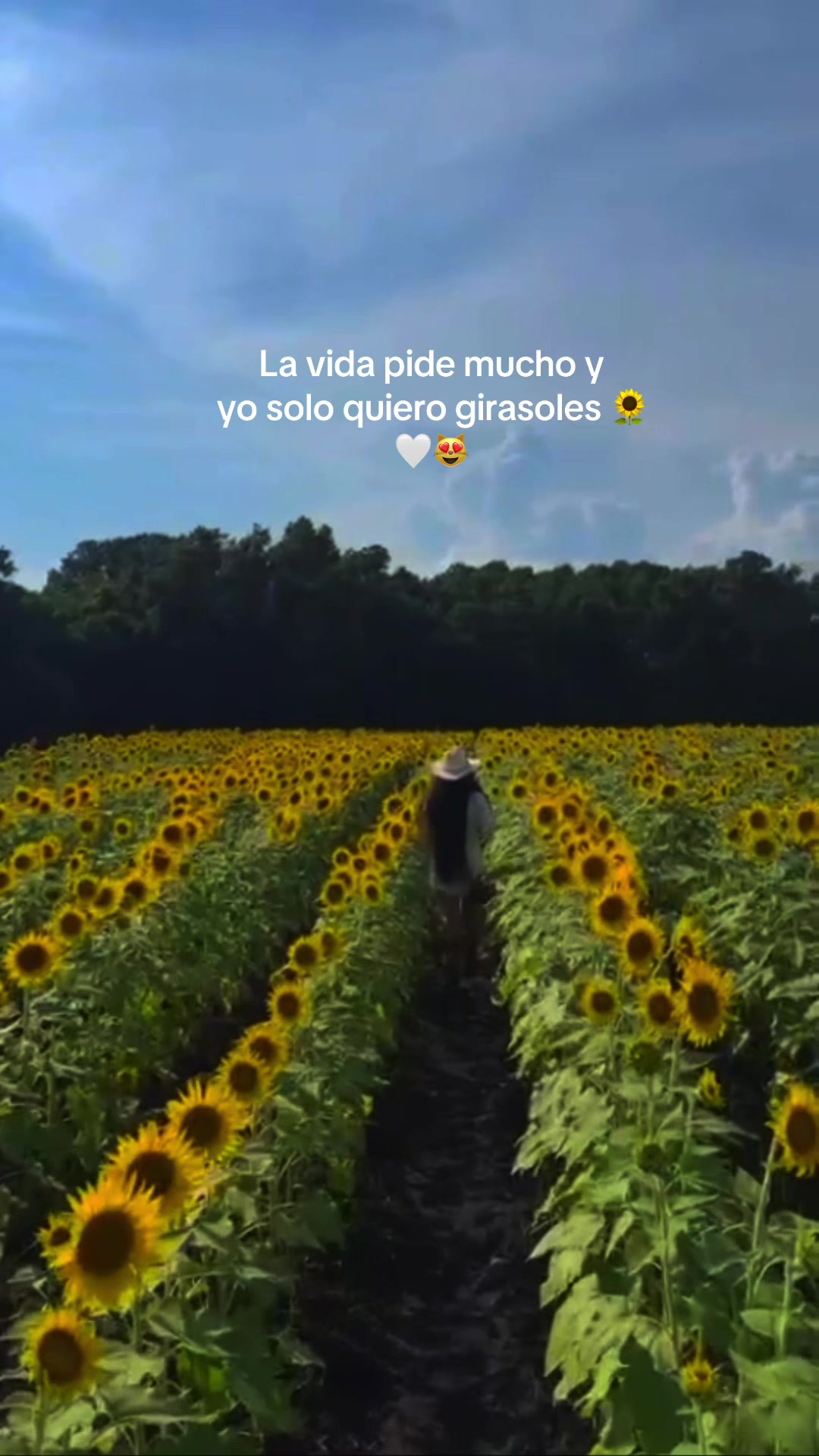 @🗽clari 🌻