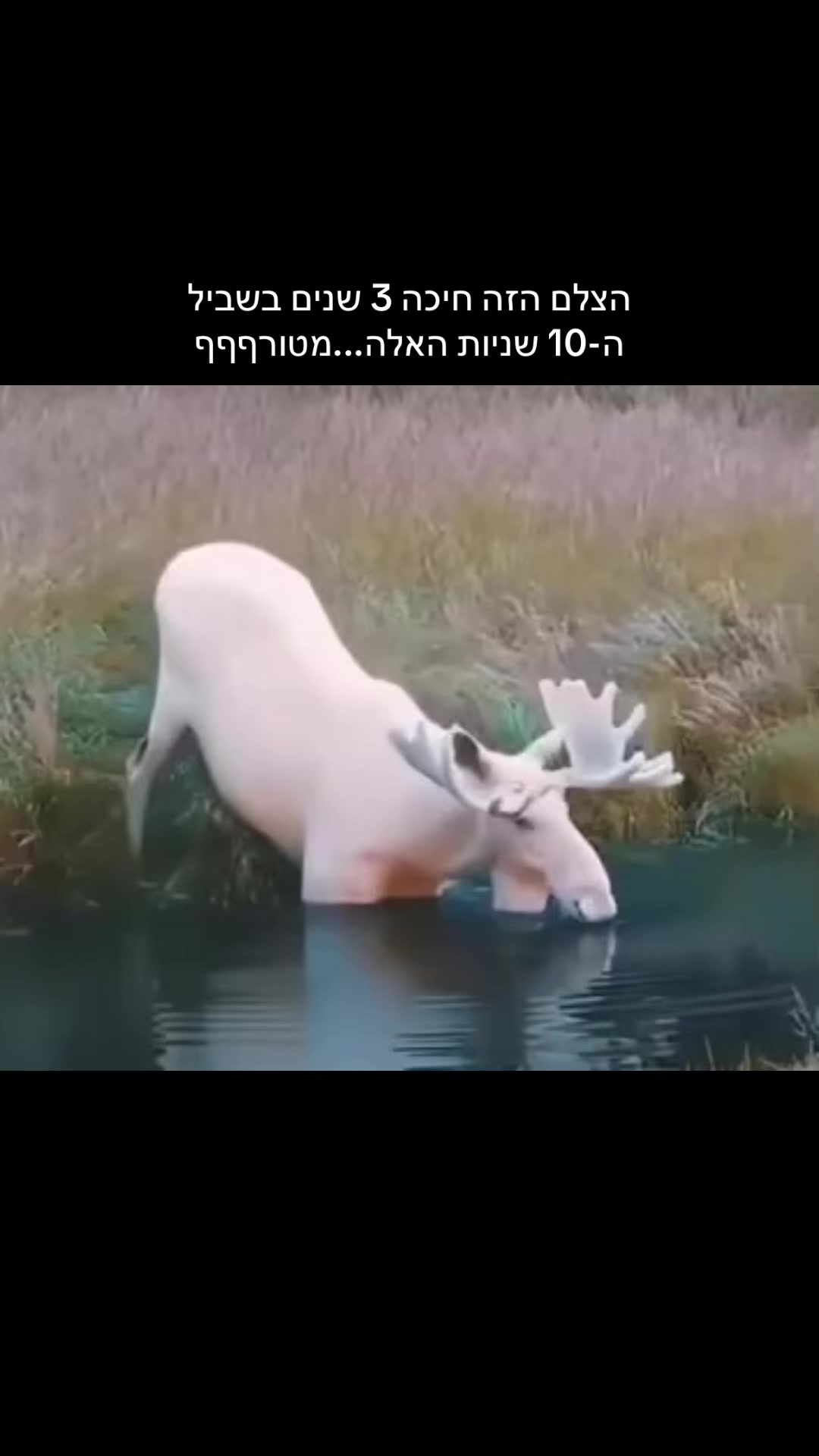 @rivו&hearts;️