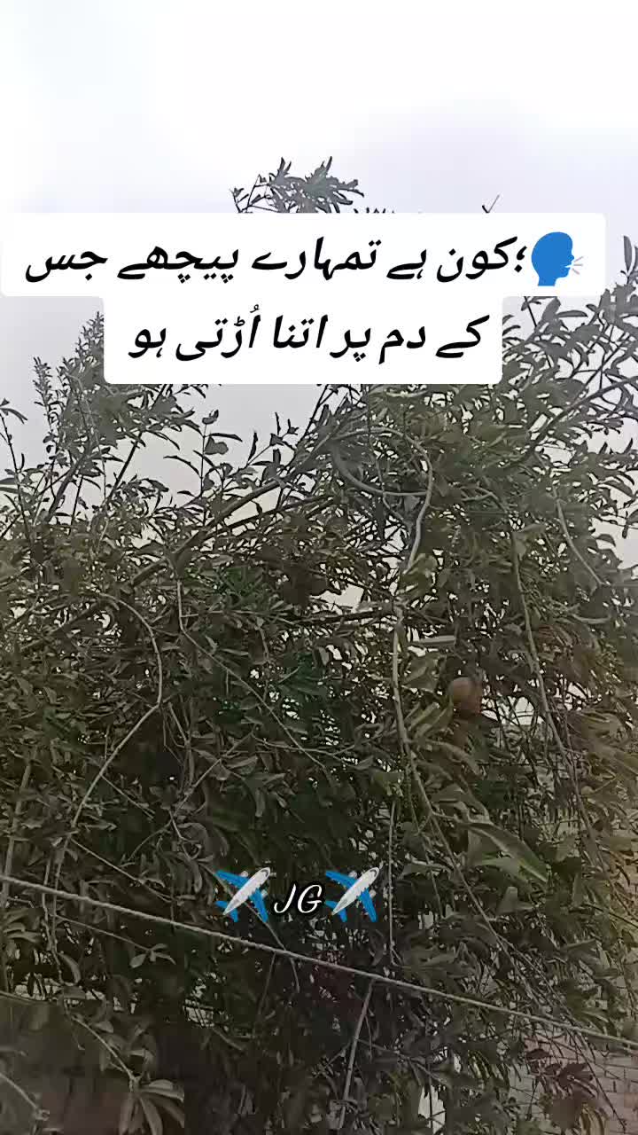 @✈️JG✈️🇸🇦