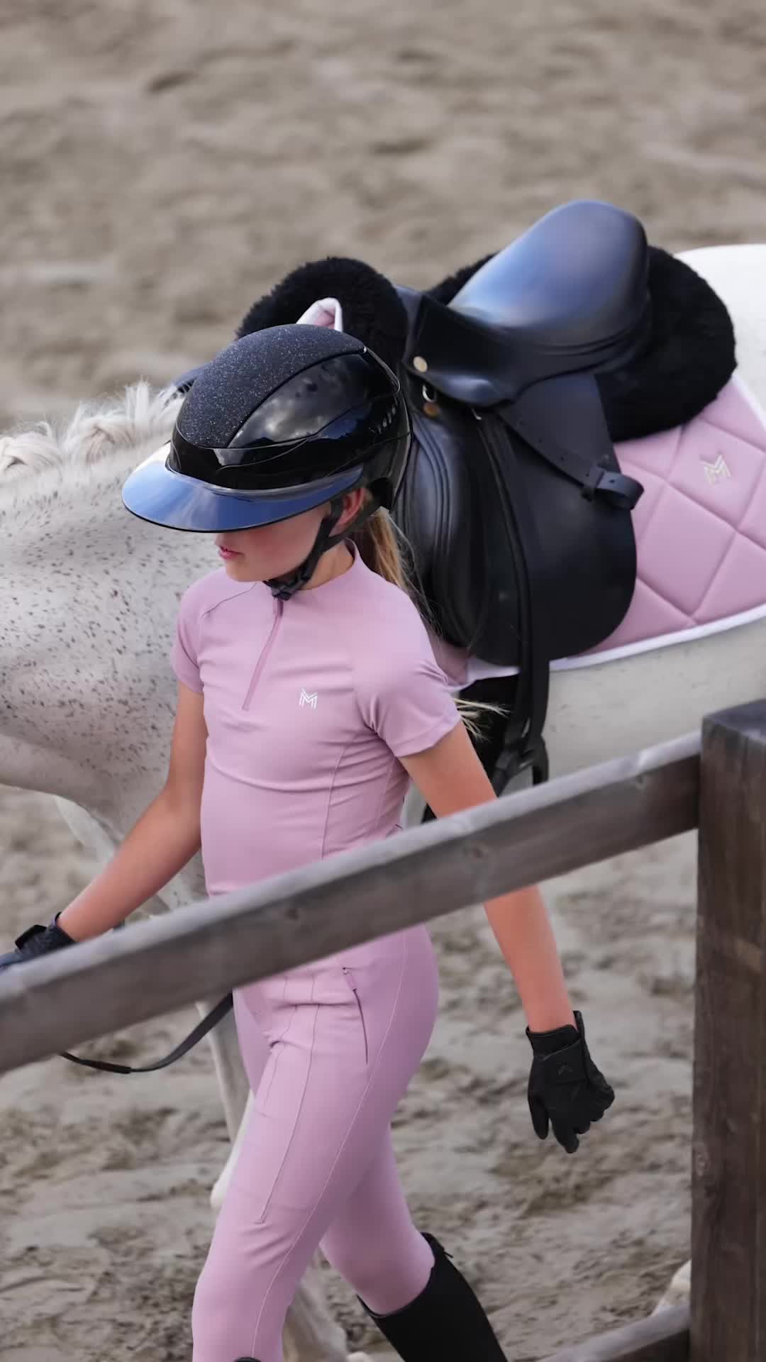 @Maximilian Equestrian