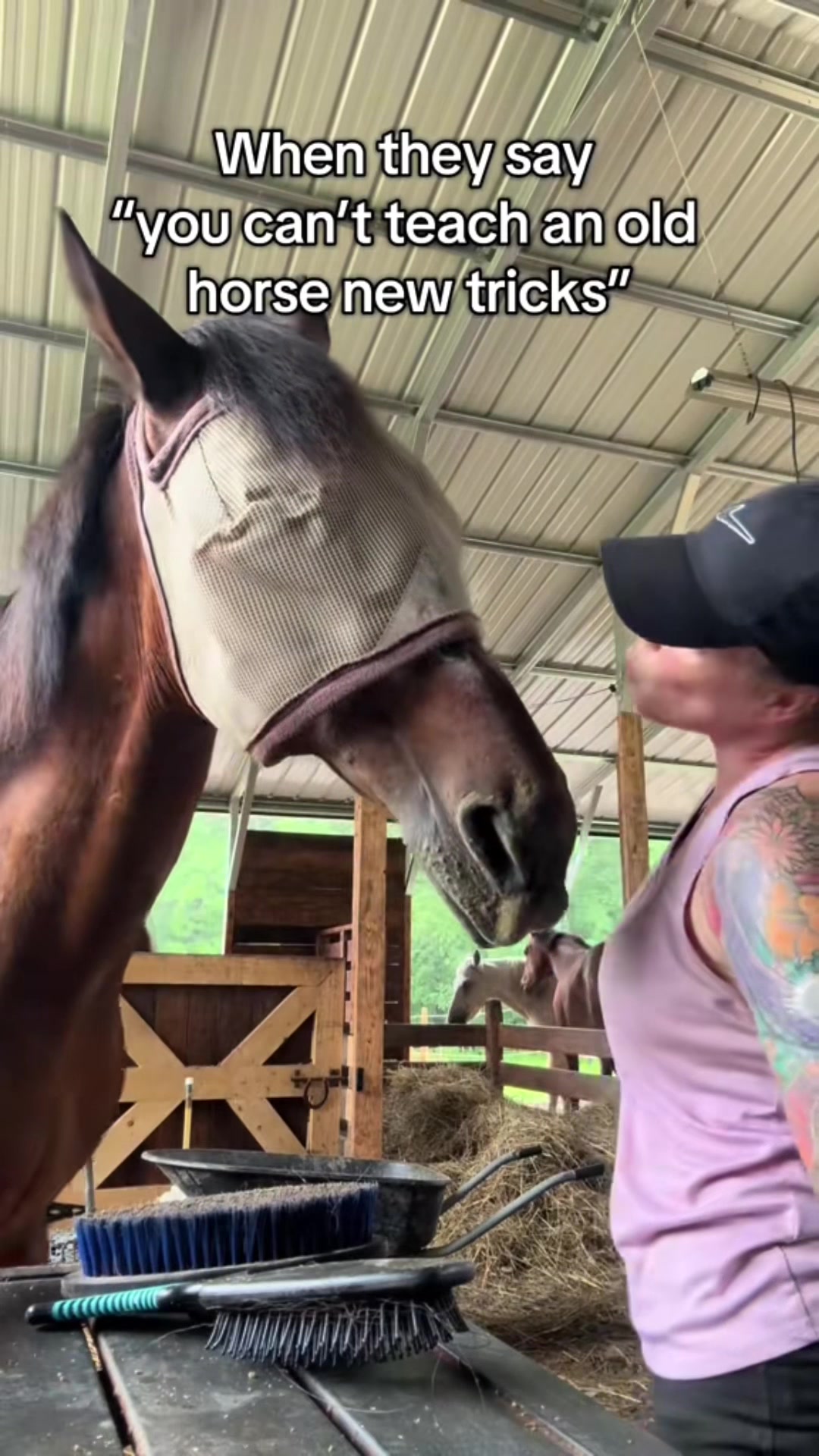 @NWPA Equine Sanctuary