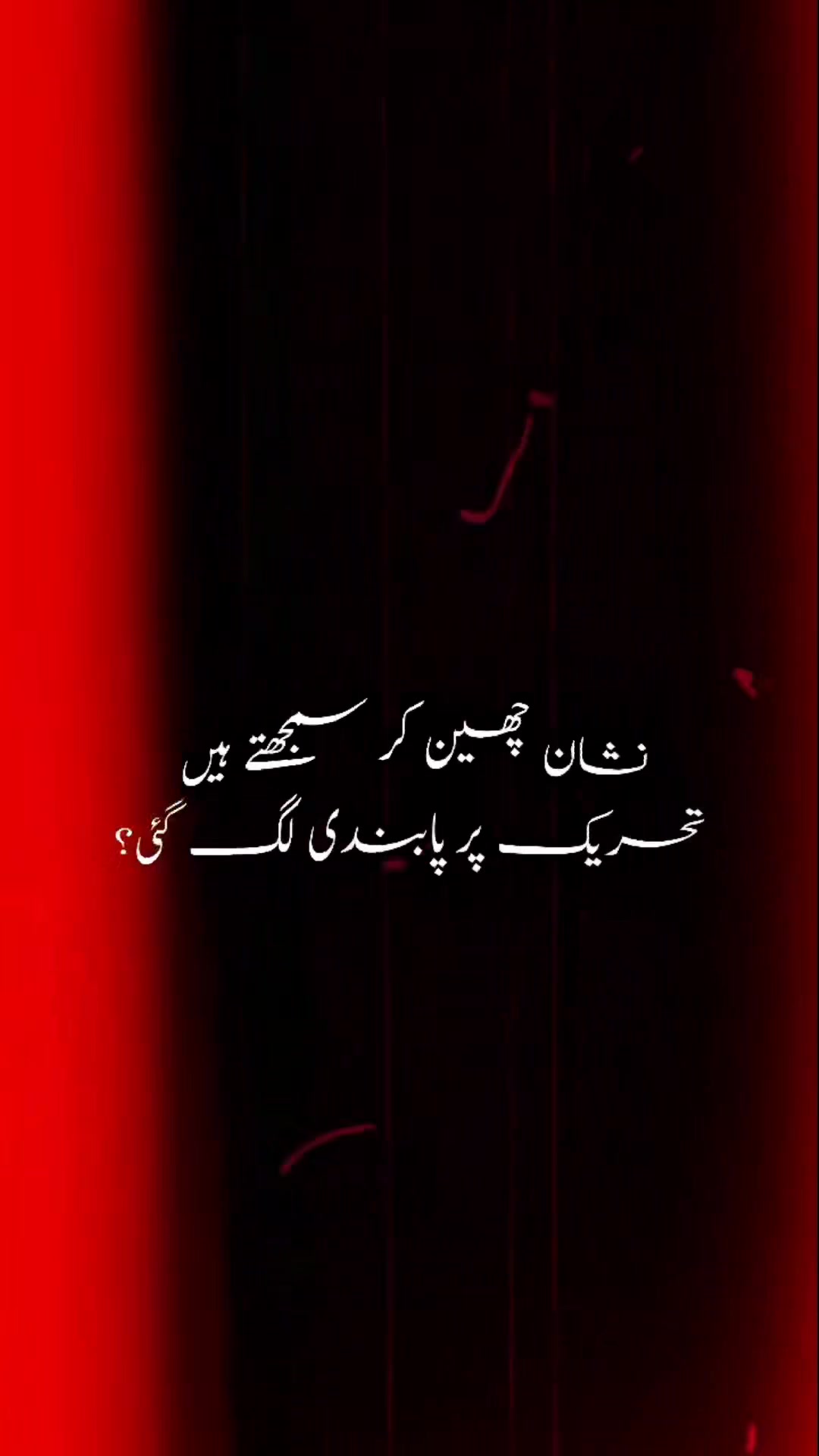 @🍂فاطمہ رضویہ🍁