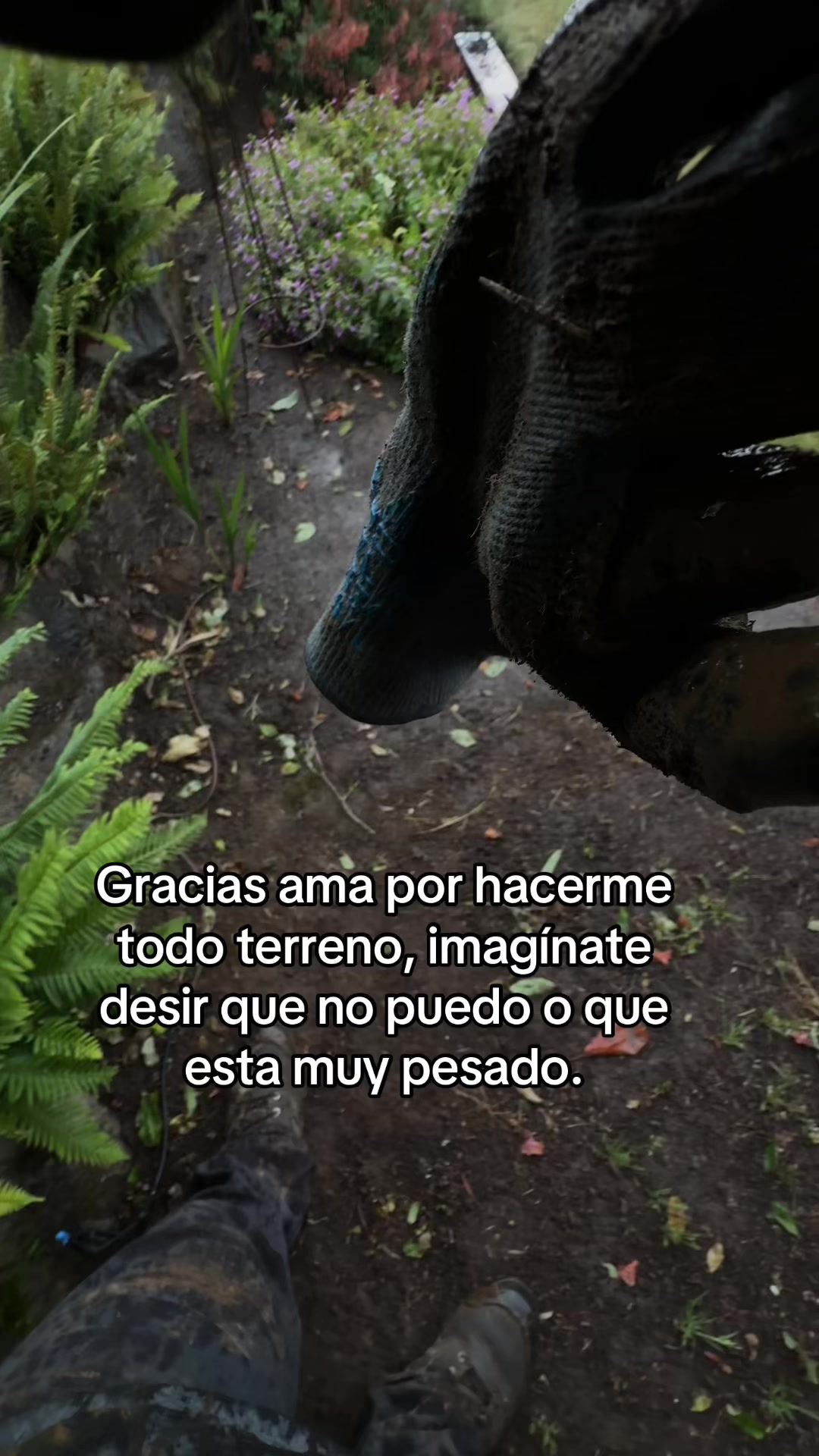 @CARLOS