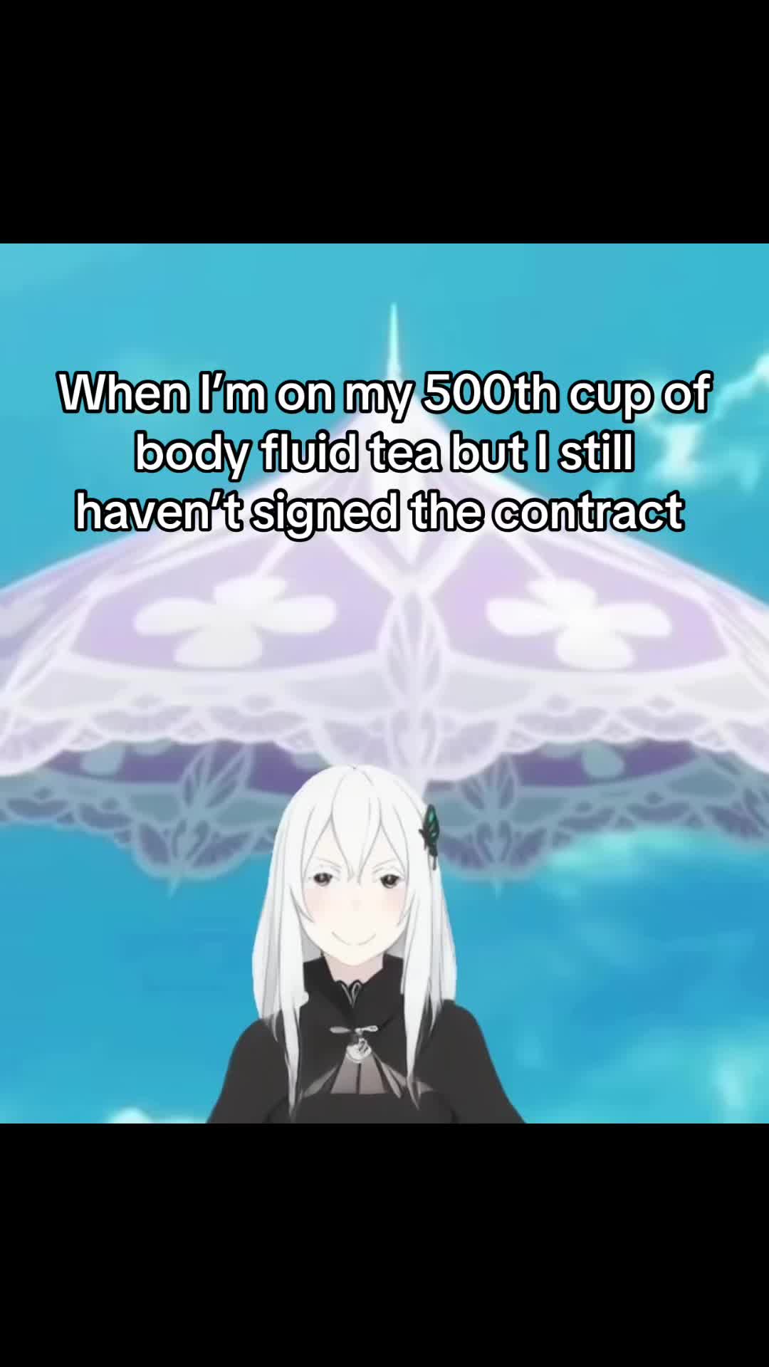 @Milkies/Echidna