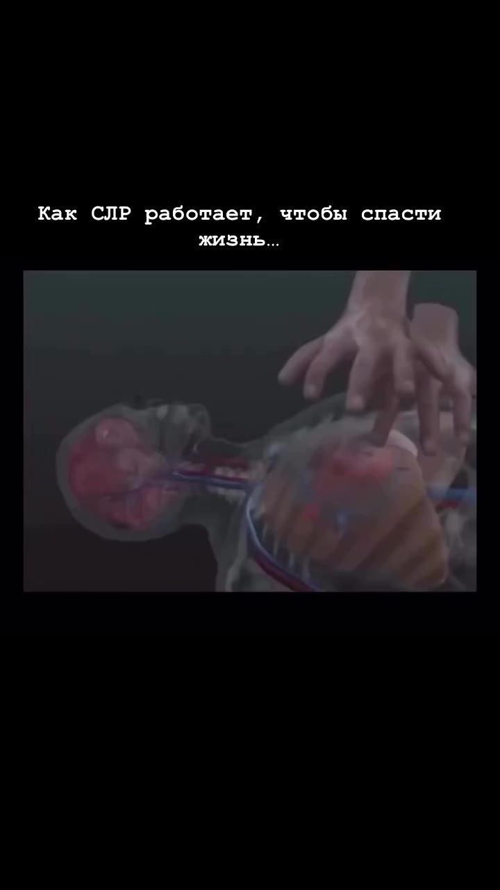 @Dr. Kit