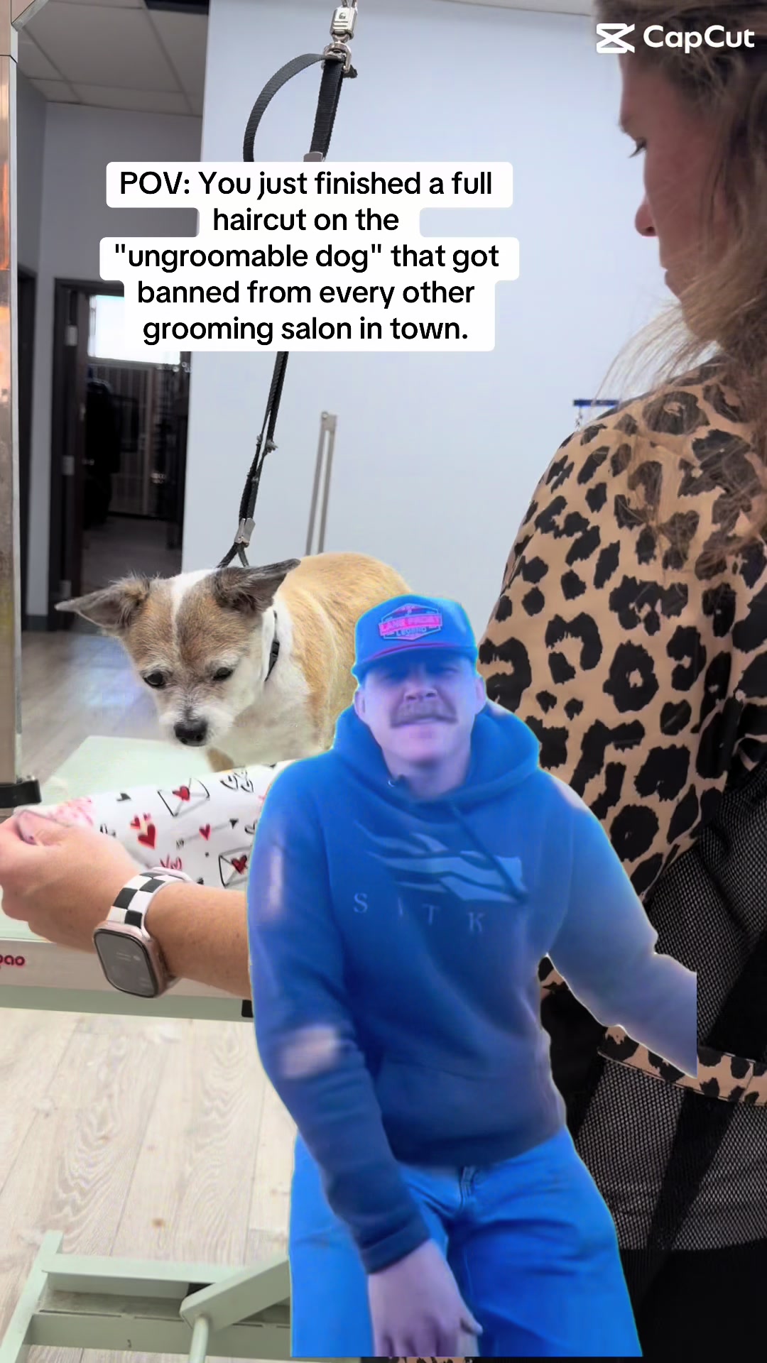 @Kelly&rsquo;s pet&rsquo;s