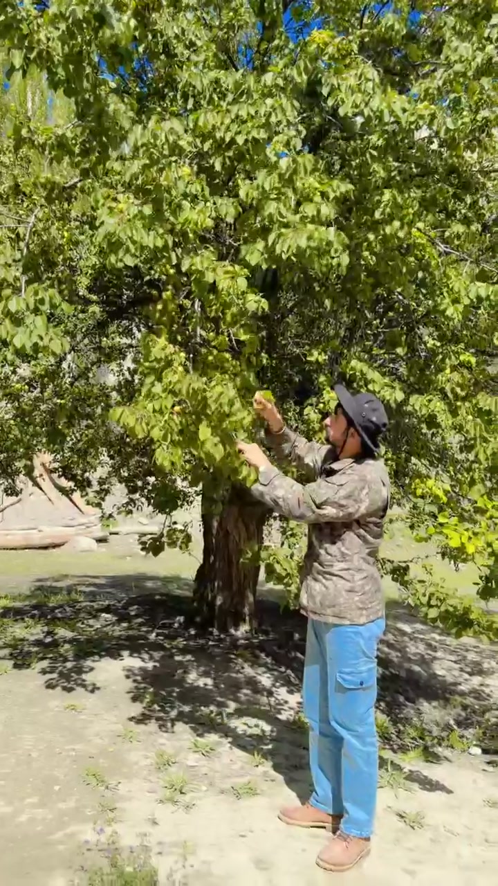 @♥️Zawar Azhar jeelani♥️