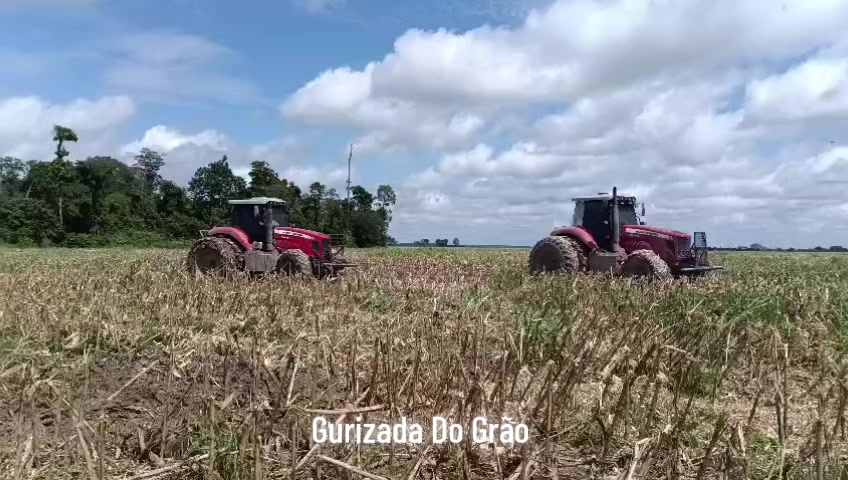 @Gurizada Do Grão Oficial