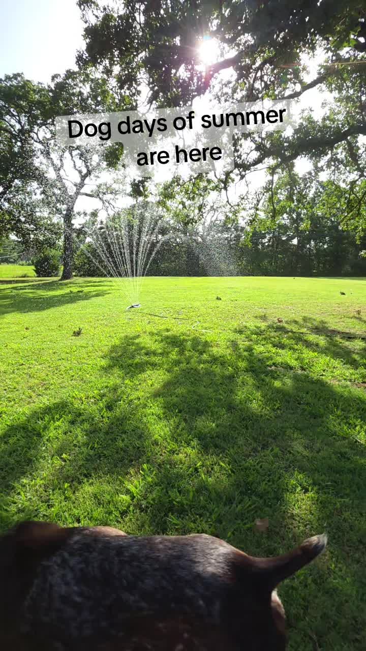 @GSP Family