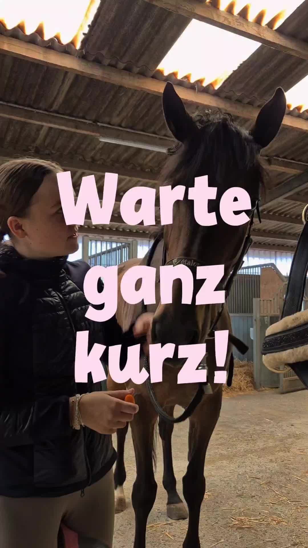 @romyundwilli