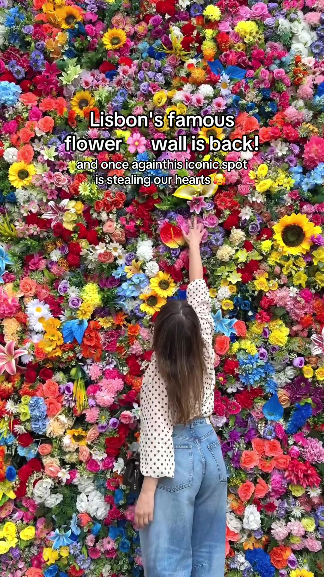 @Isa