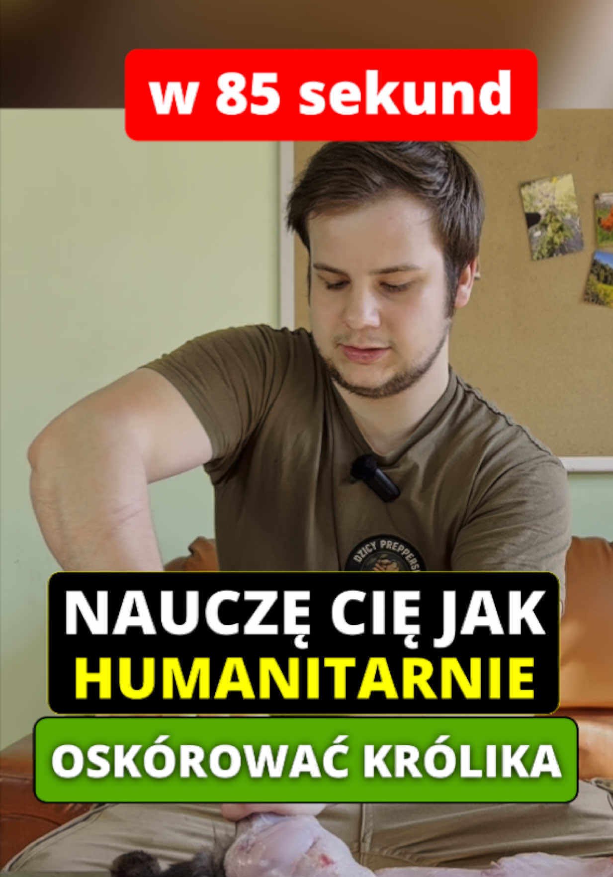 @DzikiPreppers