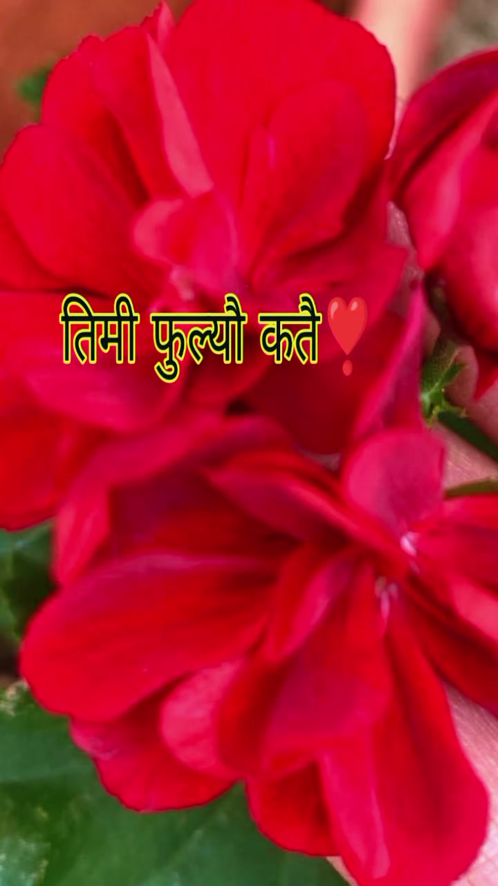@Umesh Basnet