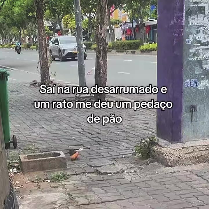@Noobzin