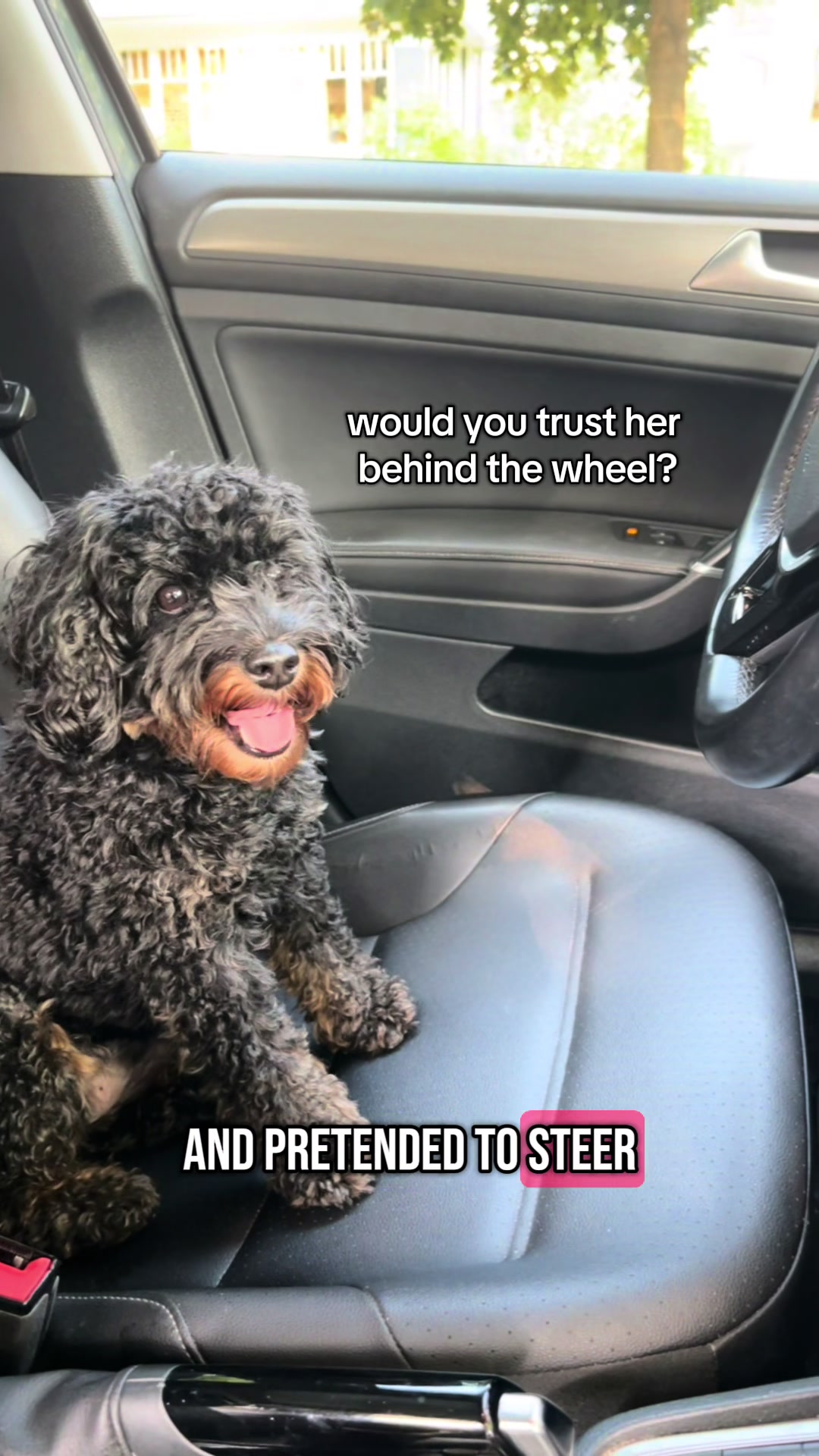 @Petworks.com