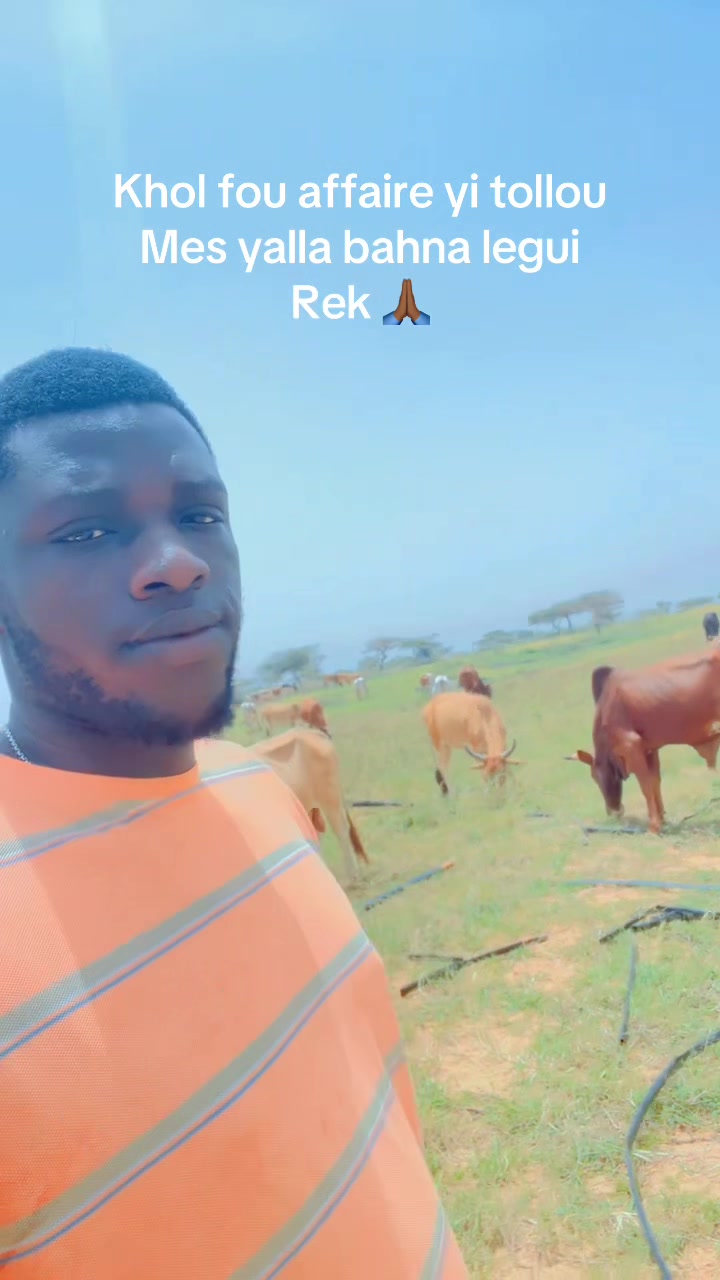 @Weuz🐄Éleveur saint Louis ❤️