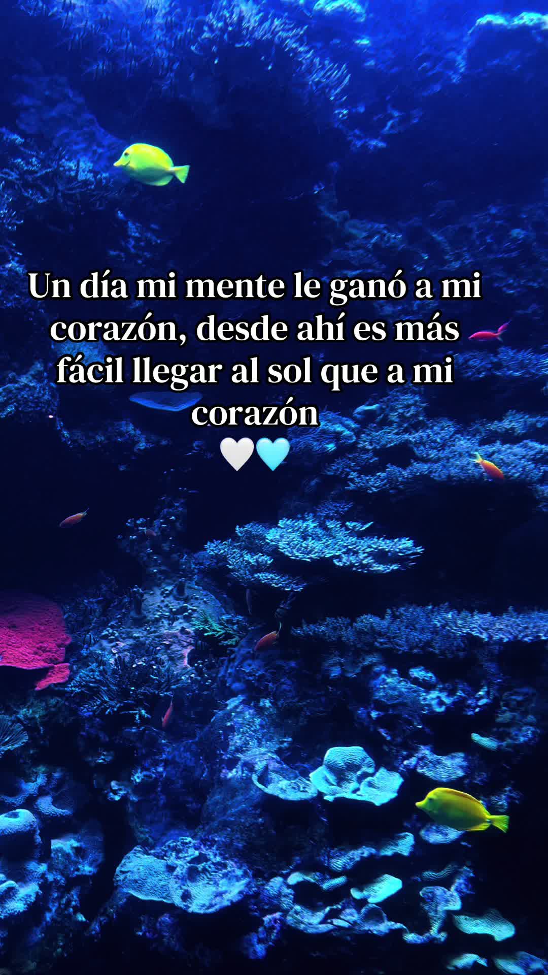 @🦋Bbcita🌻🇺🇸🌙