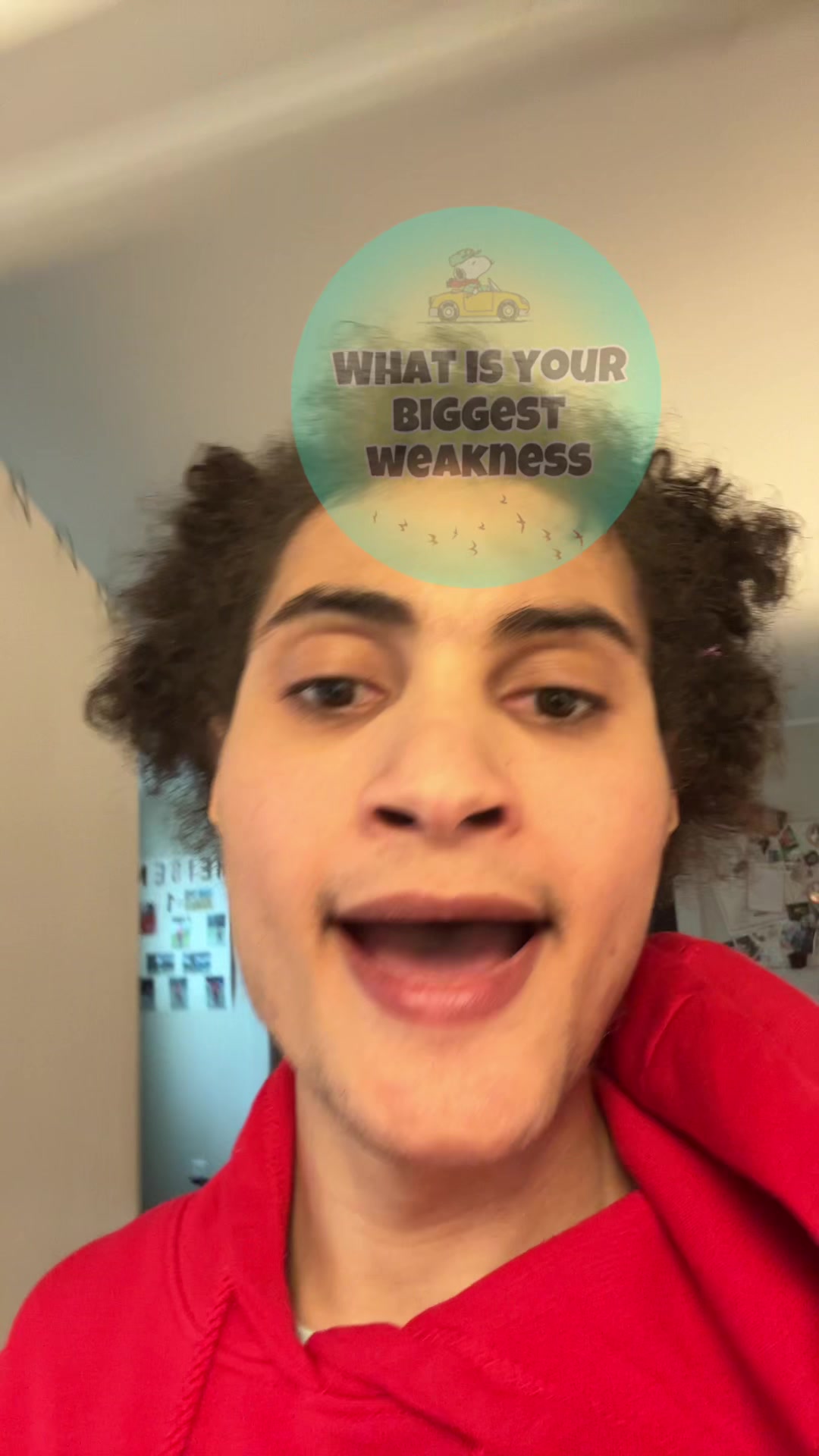 @reisensings