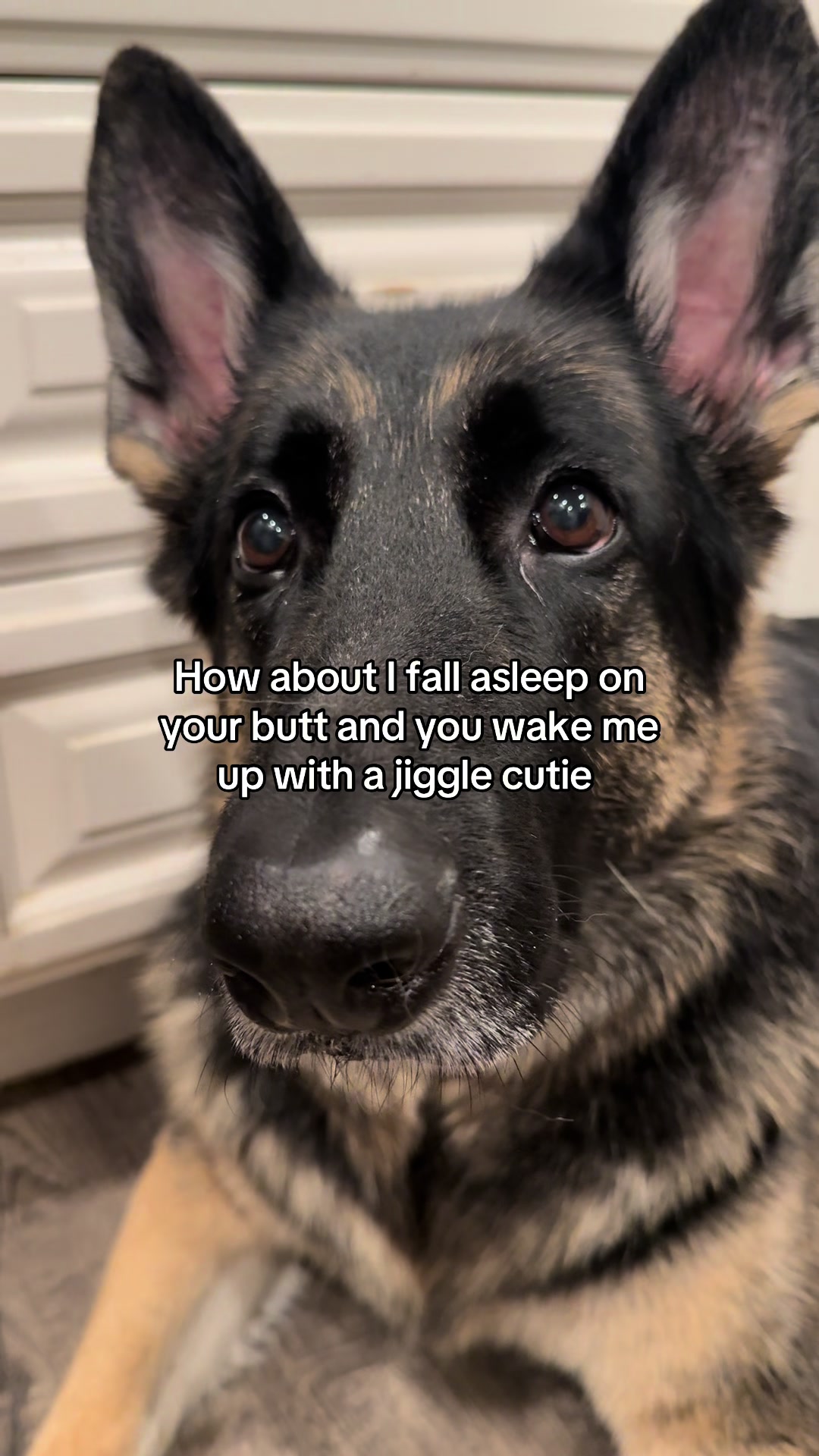 @Bhris