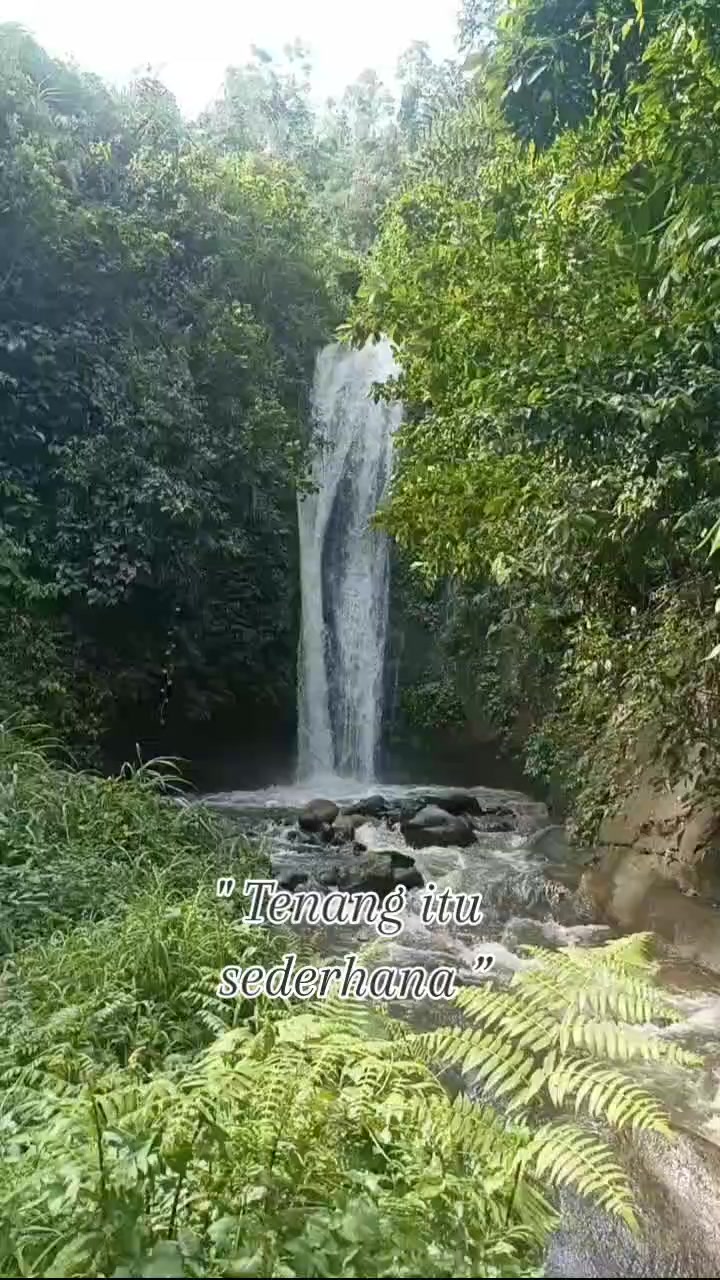@Bang Narto