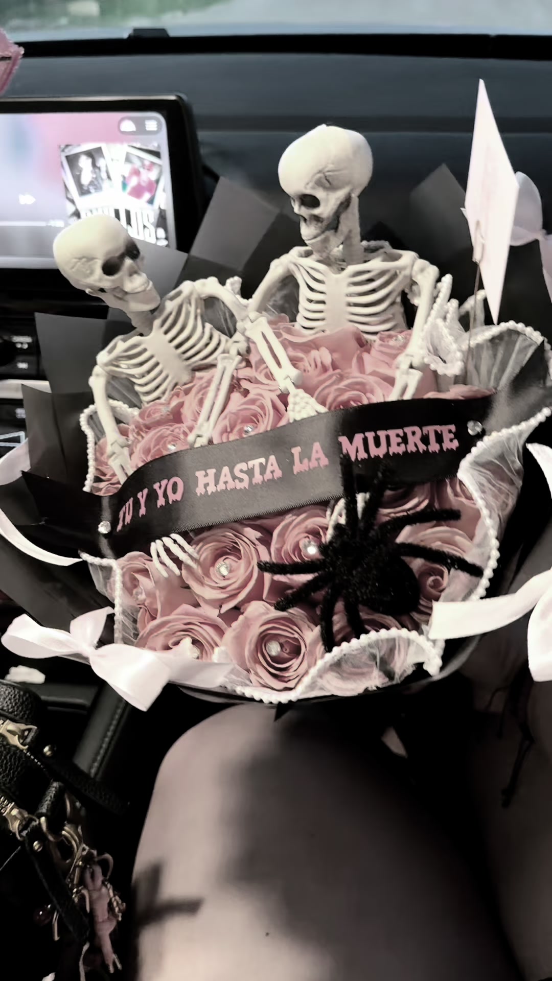 @ELIAMAR🎀
