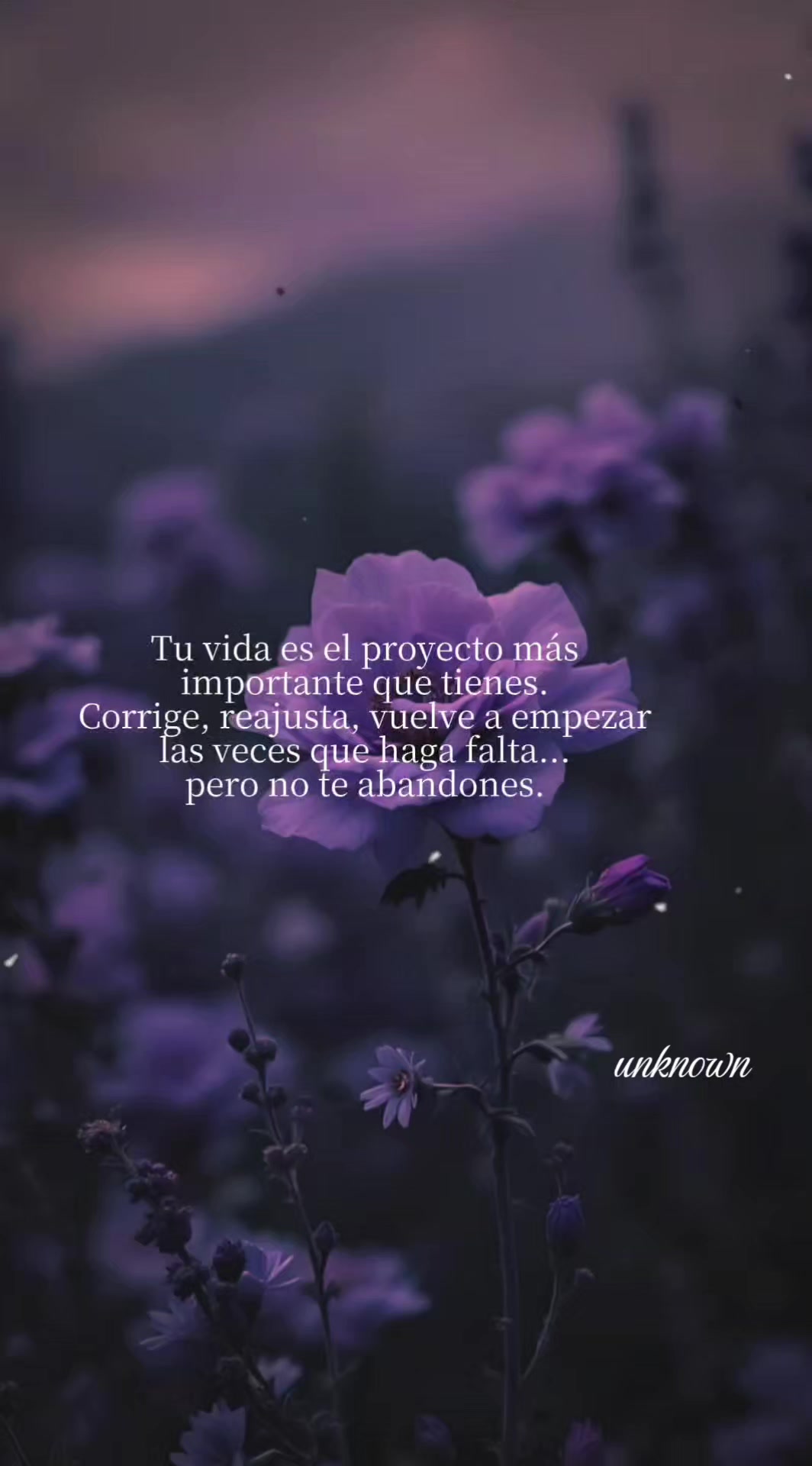 @unknown