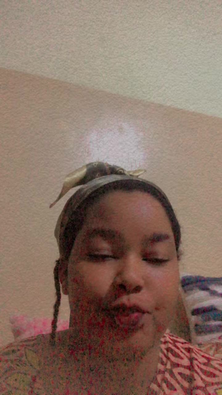 @mamu