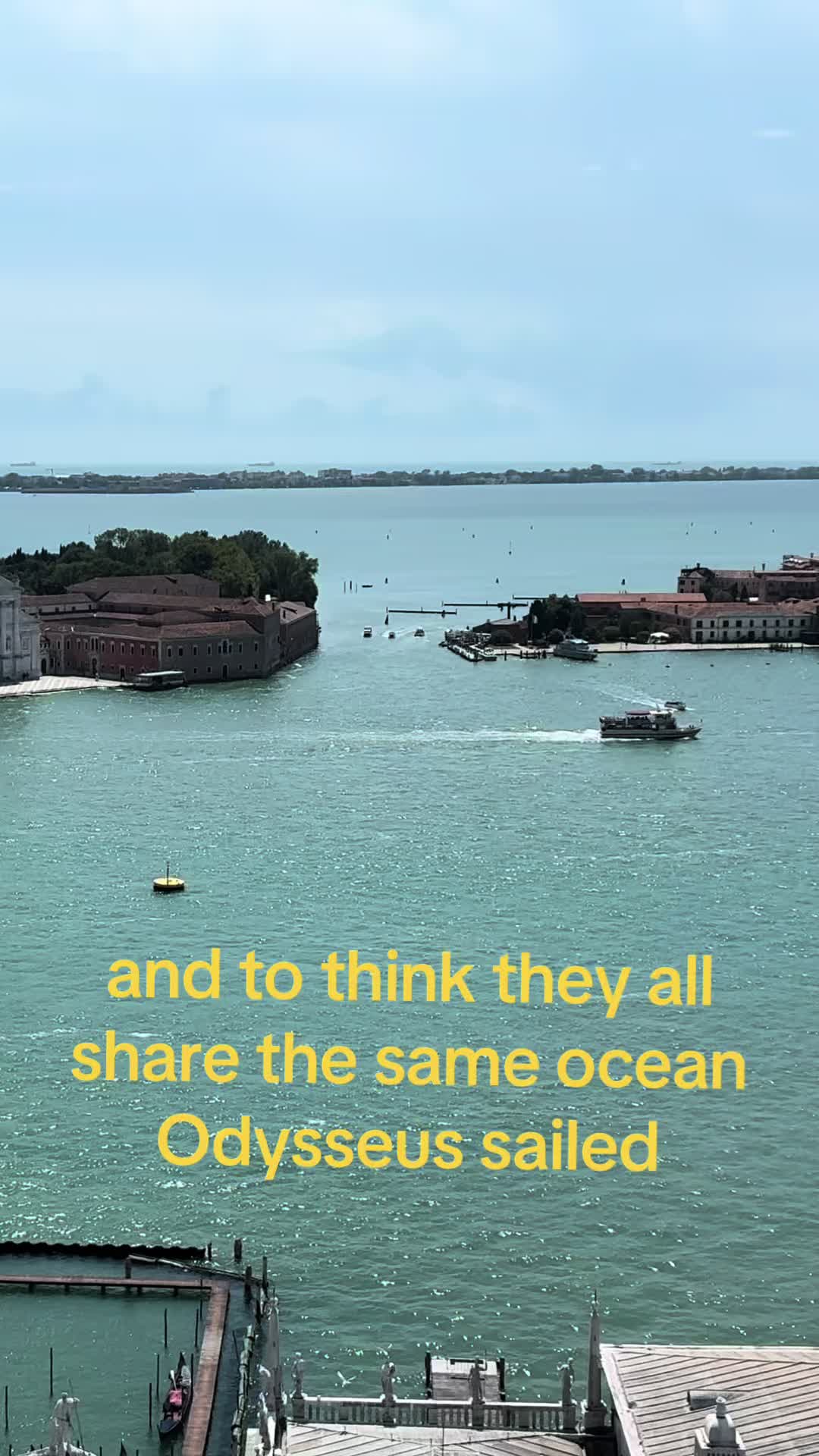 @raccoon.readz