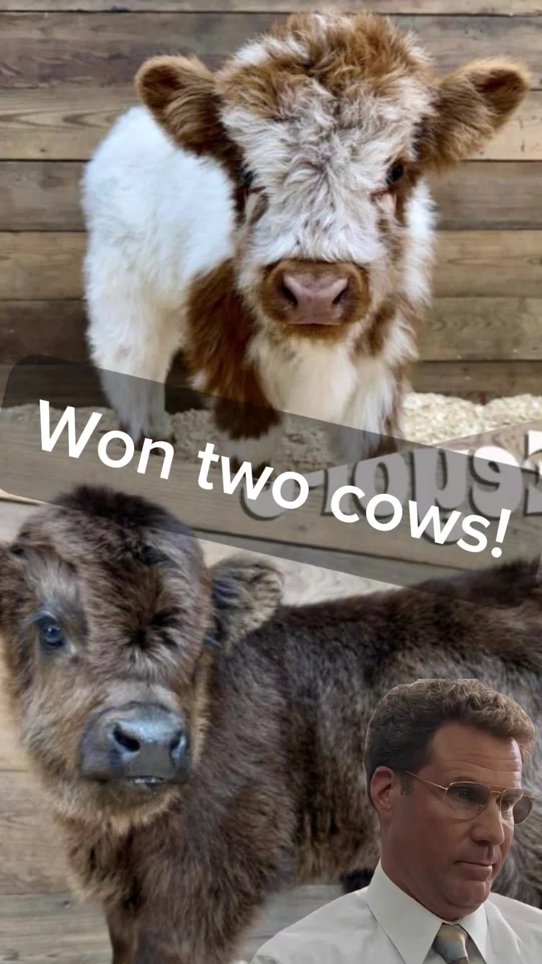 @WildernessRanch