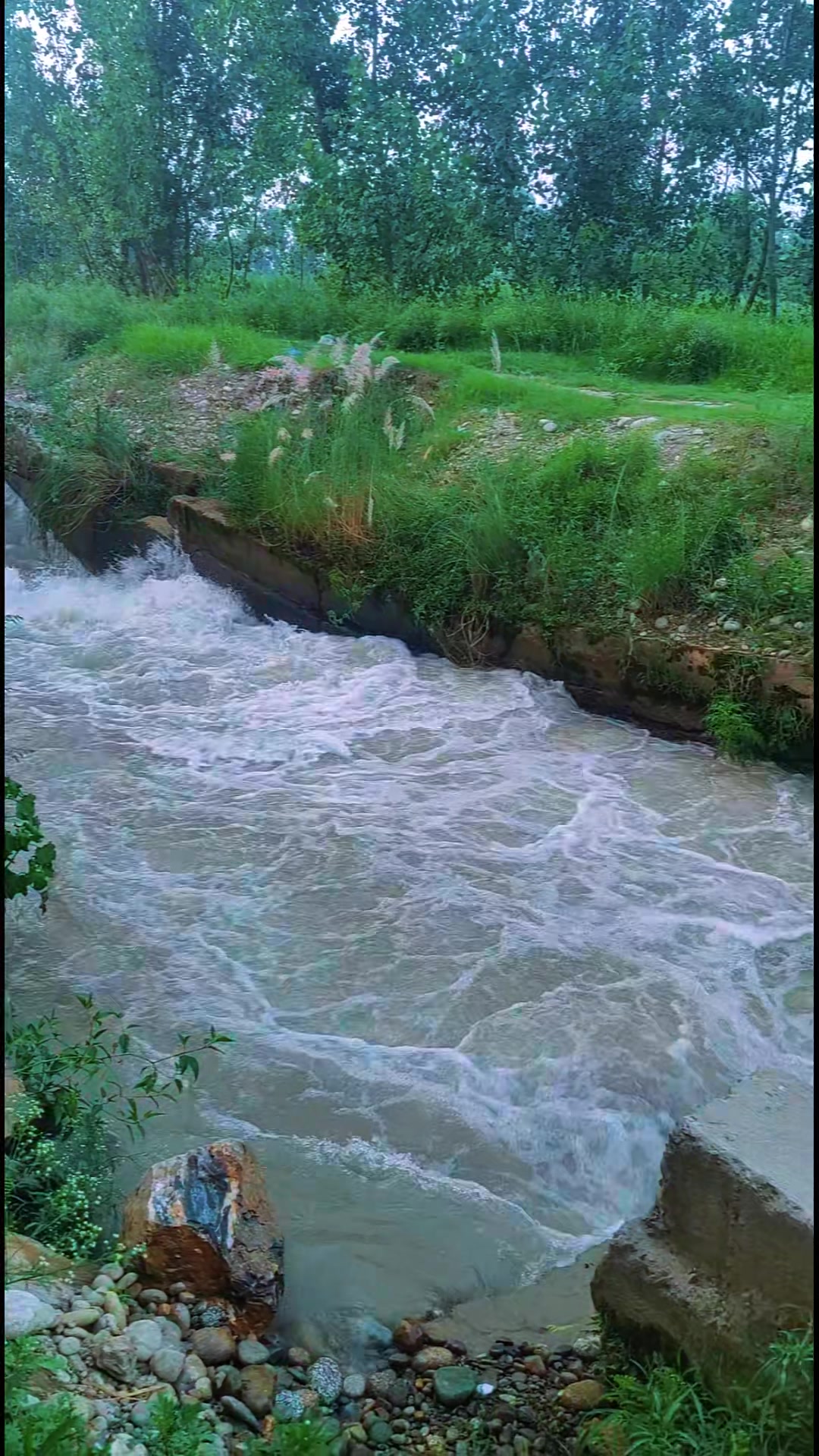 @Asif Jan