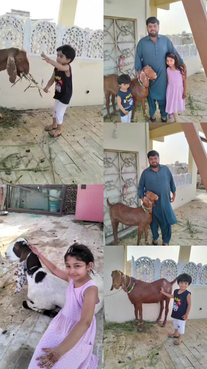 @Two Kid's ❤️❤️
