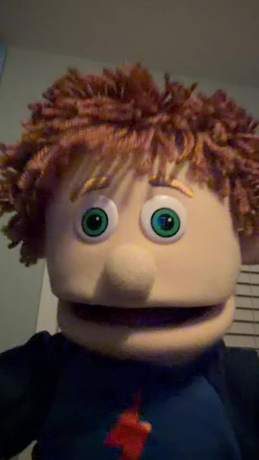 @puppetpictureshow
