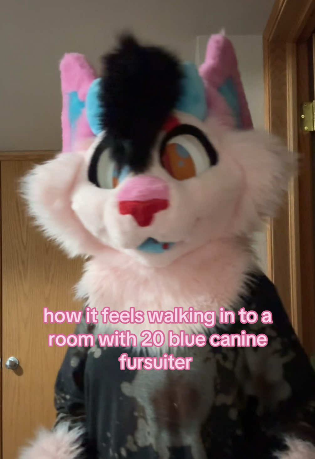 @tiggs